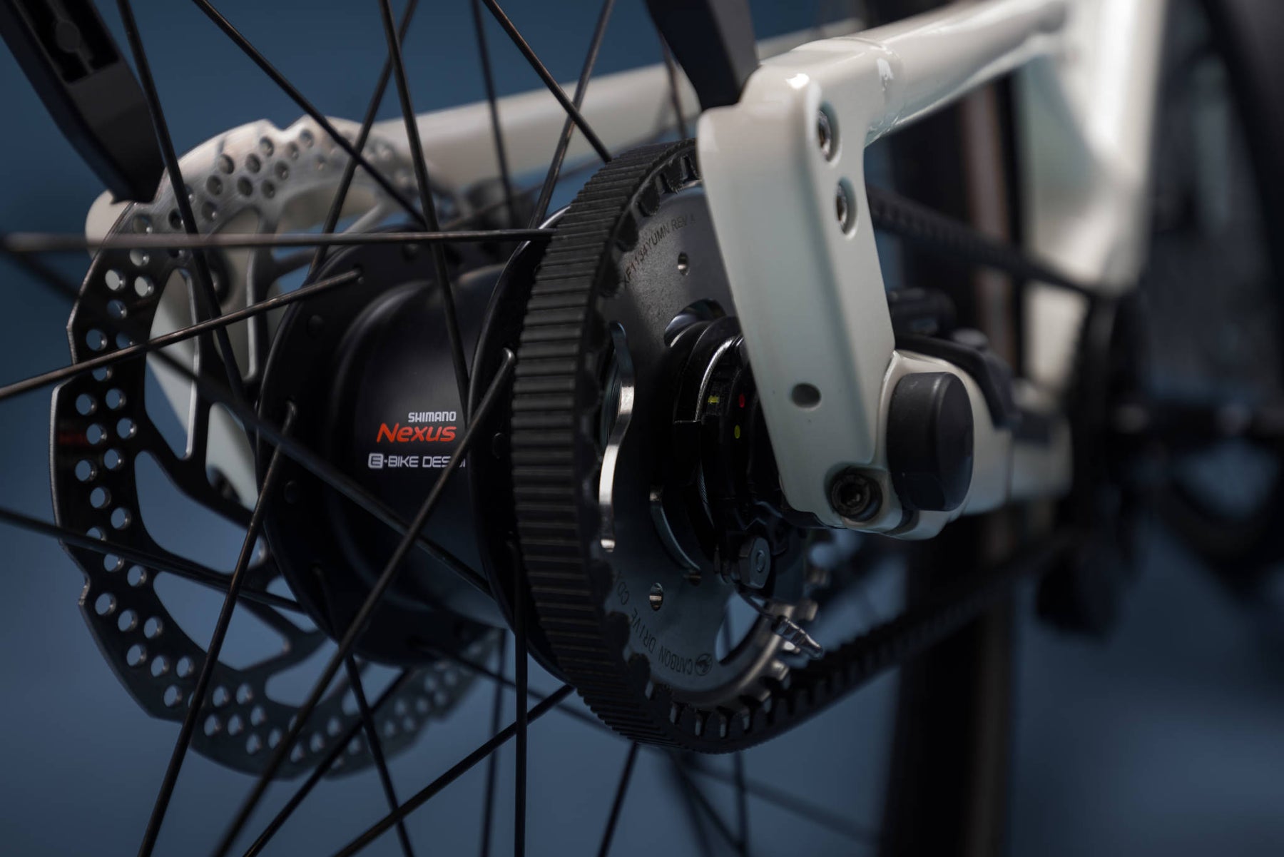 Orbea Diem 20