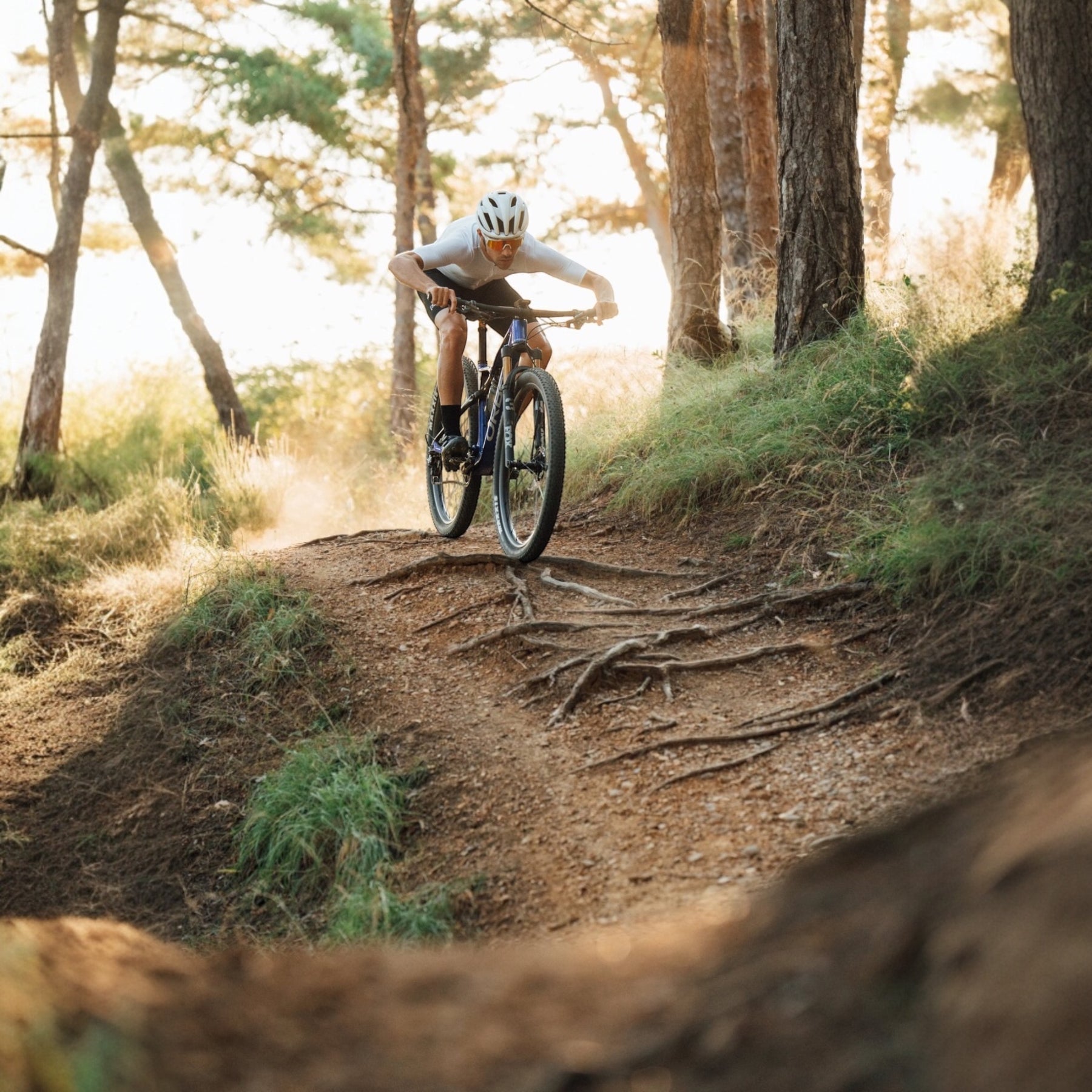 Orbea Oiz M21
