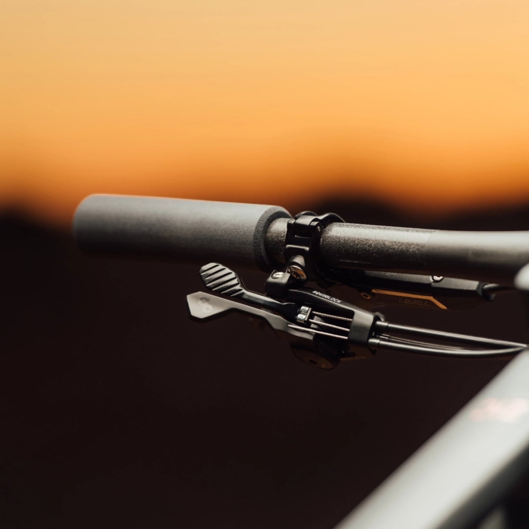 Orbea Oiz M21