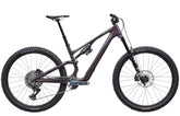 Specialized Stumpjumper 15 Expert