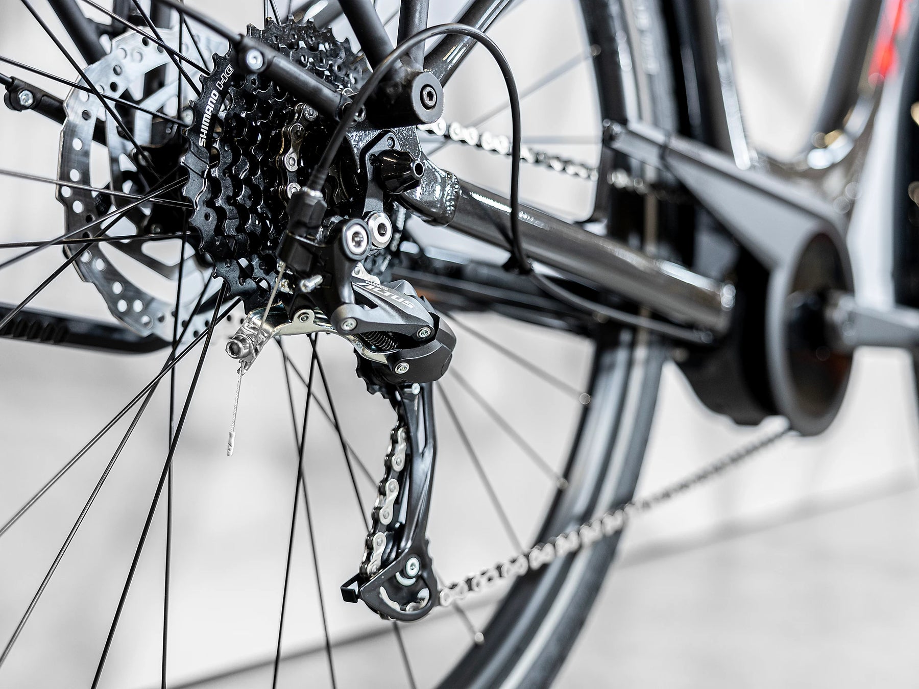 Trek Verve+ 2 Lowstep