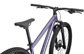 Specialized Rockhopper Comp 29