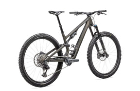 Specialized Stumpjumper 15 Expert