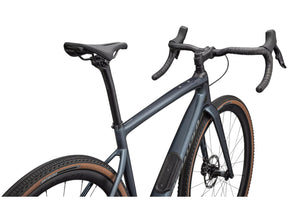 Specialized Diverge Expert Carbon