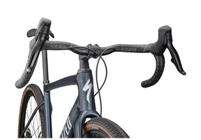 Specialized Diverge Expert Carbon