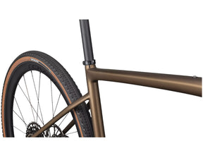 Specialized Diverge Expert Carbon