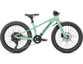 Specialized Riprock 20"