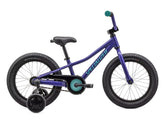 Specialized Riprock Coaster 16"
