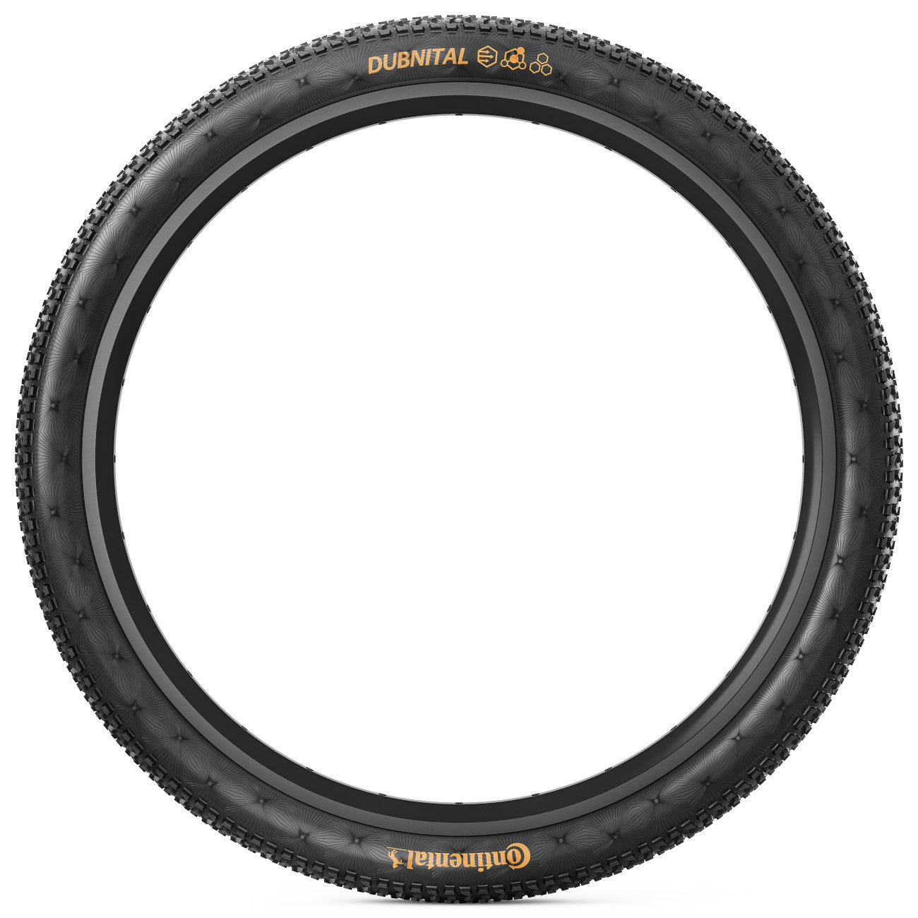 Continental Dubnital Race Rapid TLR 29" Maastorengas