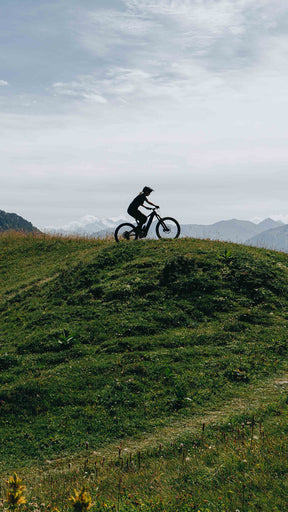 Specialized Turbo Levo 4 Alloy