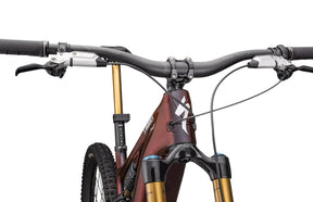 Specialized S-Works Turbo Levo 4