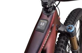 Specialized S-Works Turbo Levo 4