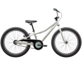Specialized Riprock Coaster 20" Lastenpyörä