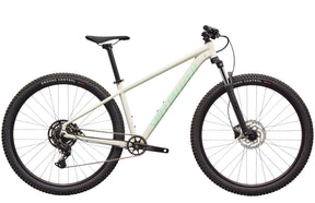 Specialized Rockhopper Sport 29 Jäykkäperäinen Maastopyörä
