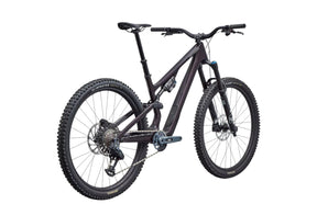 Specialized Stumpjumper 15 Expert
