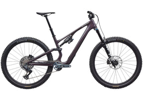 Specialized Stumpjumper 15 Expert