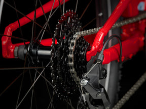 Trek Wahoo 24 Path