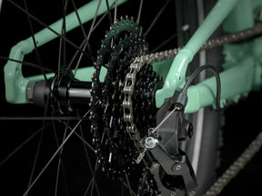 Trek Wahoo 24 Path