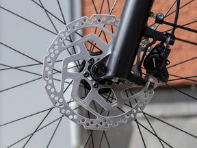 Trek Allant+ 5