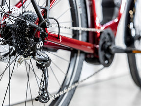 Trek Allant+ 5
