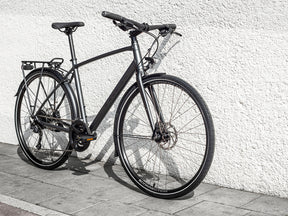 Trek FX 2 Disc Equipped
