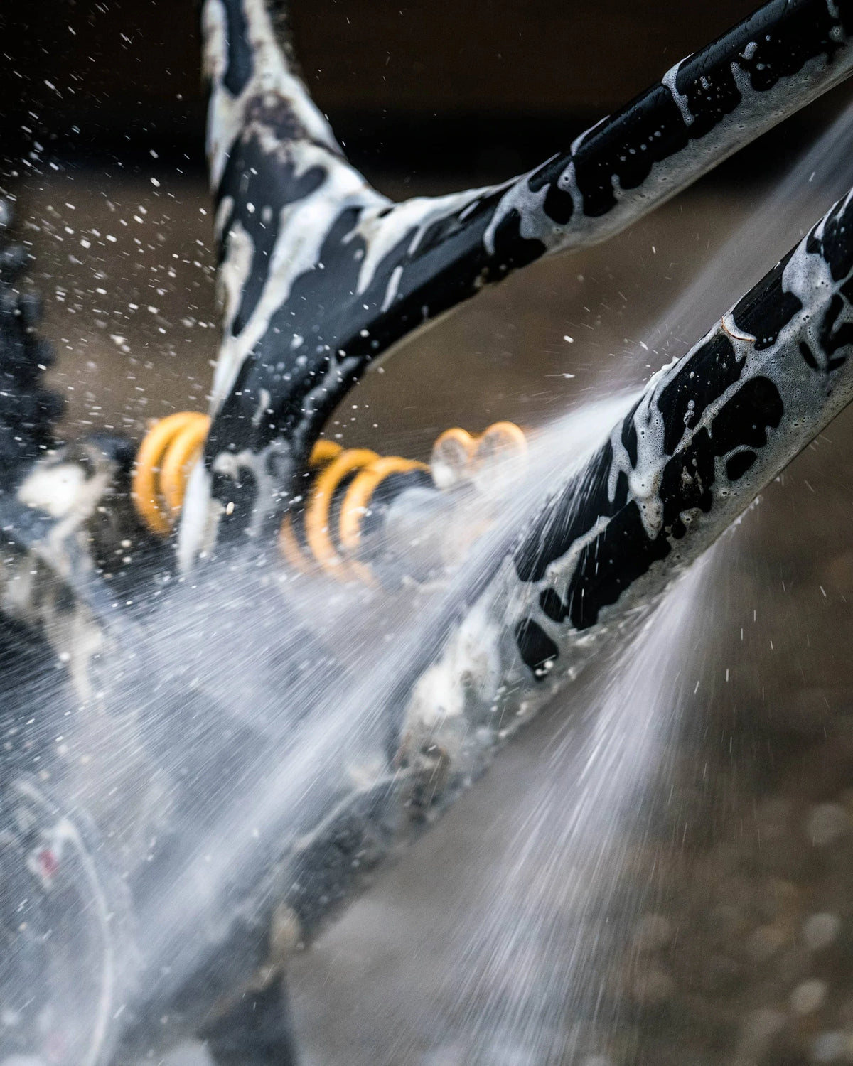 Peaty's LoamFoam Cleaner Pesuaine