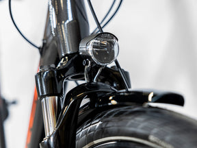 Trek Verve+ 2 Lowstep