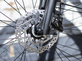 Trek Verve+ 2 Stagger